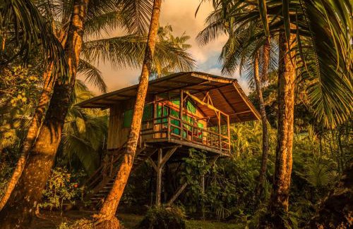 Palma Hotel | Ocean Forest Ecolodge