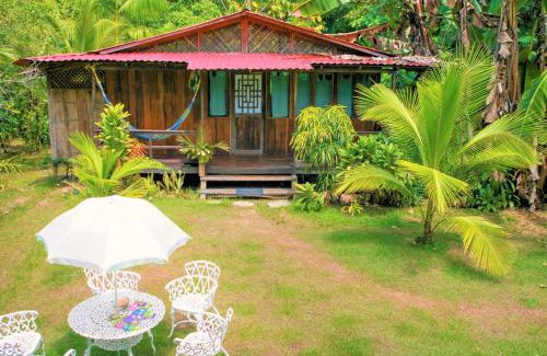 Palma Hotel | Ocean Forest Ecolodge