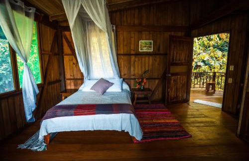 Palma Hotel | Ocean Forest Ecolodge