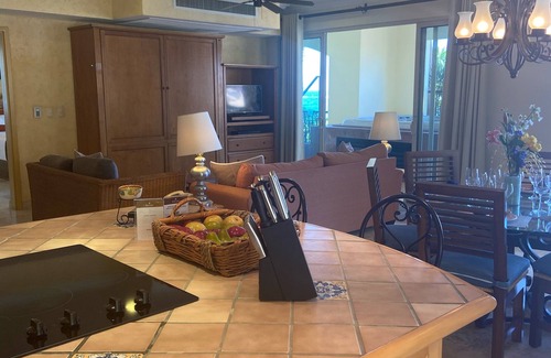 El Medano Ejidal Villa | Ocean Front, 5th flr, Penthouse Villa Del Arco Cabo San Lucas , 180 deg views