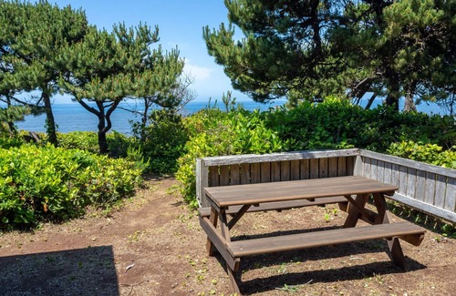 Seal Rock House | Ocean Front! Hot Tub! Dog Friendly!