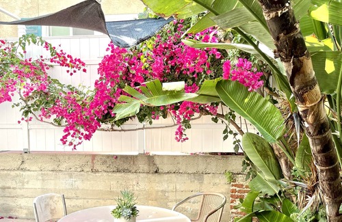 El Porto House | Ocean House with Private Patio