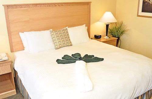 Northeast Virginia Beach Resort | Ocean Key Resort spacious 1 bedroom suite