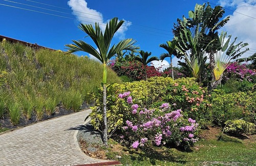 Chontales House | OCEAN, MOUNTAINS, JUNGLE - TOP OF THE WORLD