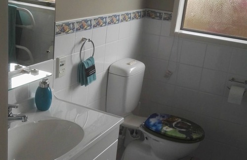 Orewa Apartment | Ocean View Apartment In Orewa, Auckland