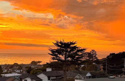 Marine Terrace Cottage | Ocean View Retreat with King sized bed and 5 min walk to sea + Fiscalini trails.