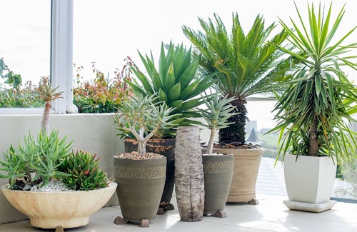 Green Point House | Ocean View Villa: Cape Town- Panoramic Sea Views, sparkling pool, ideal location