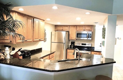 Ponce Inlet Condo | Ocean waves at your feet! Oceanfront - Ponce Inlet, FL