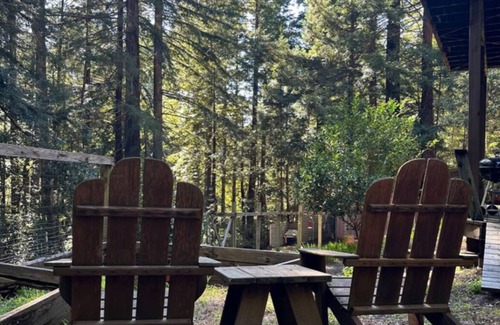 Gualala House | Ocean Waves crashing Surrounded by Redwoods, pet friendly! Welcome Home.