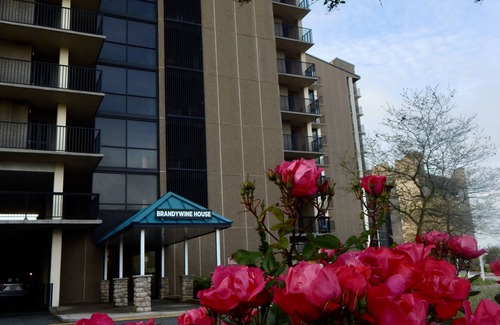 Bethany Beach Condo | Oceanfront 1 BR Condo in Sea Colony