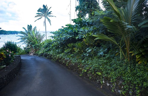 Hana Condo | Oceanfront #3 at Hana Kai Maui - 1 Bedroom Corner Unit 100ʻ from Water!