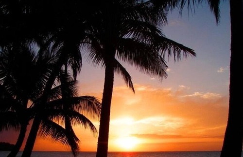 Waialua Cottage | Oceanfront Cottage! On SPECIAL May 31- June 2! Permit # 90/tvu-0631