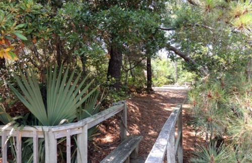 Hatteras House | Oceanfront, dog-friendly condo with pool, hot tub, large deck, fast WiFi, & view