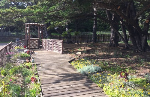 Gualala House | Oceanfront House With Panoramic Views Of The Water And Private Beach Access