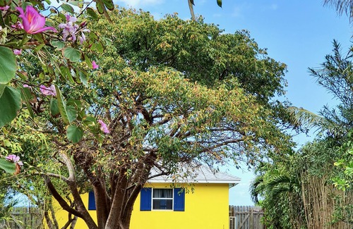 Spanish Wells House | Oceanside house with private tropical garden, kayaks and paddle boards.