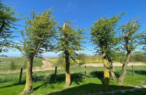 Nordstrand Apartment | Ockenswarft - Ferienwohnung Austernfischer