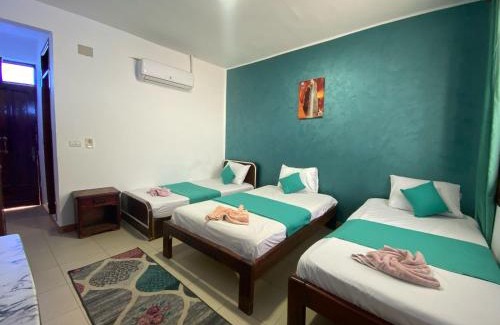 Dahab Resort | Octopus Hotel