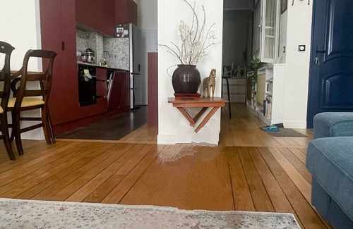 Notre-Dame-des-Champs Apartment | Odeon - Family friendly Loft near Luxembourg gardens w/remote workspace