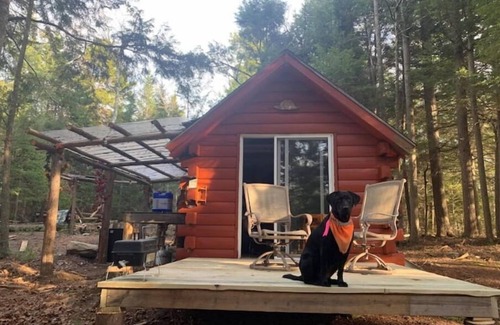 Orland House | Off Grid Sunset Woods Cabin