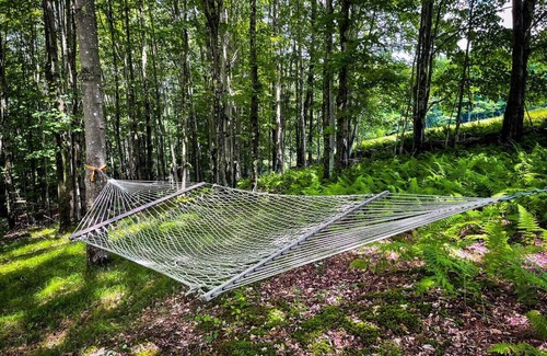 Bovina Center Apartment | Off-Grid Tiny Cabin with Cozy Vintage Charm