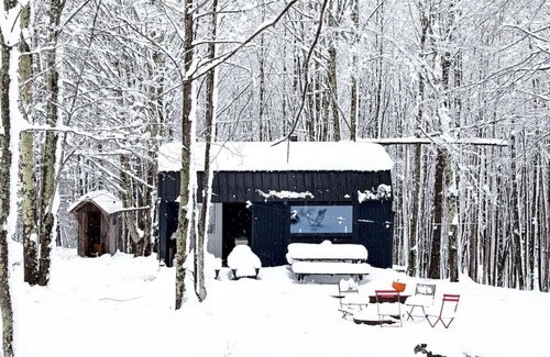 Bovina Center Apartment | Off-Grid Tiny Cabin with Cozy Vintage Charm