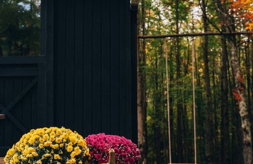 Bovina Center Apartment | Off-Grid Tiny Cabin with Cozy Vintage Charm