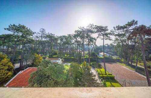 Ofir Apartment | Ofir Dream House