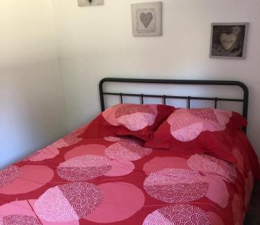 Illies House | oiseau du paradis