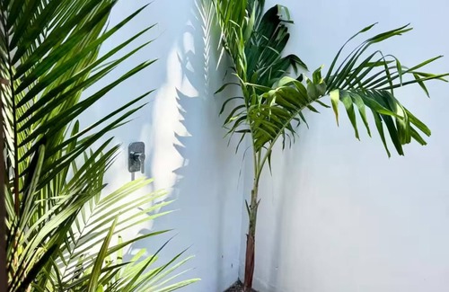 El Paredon House | Ola Beach House