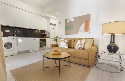 Chamberi Apartment | Olavide Terrace II apartment in Madrid