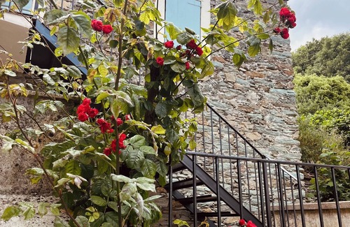 Murato Apartment | Old building with heated swimming pool