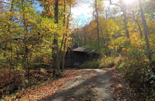 Logan Cabin | Old Man's Haven - Cabin 4