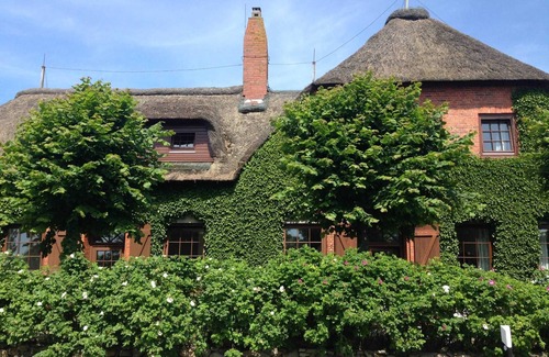 Borgsum Apartment | Old school Goting, southern class