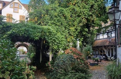 Schopfheim Apartment | Old town mill