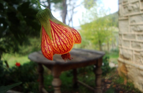 Joubertina Cottage | Old world, farmstyle, selfsufficient, off the grid, quiet and isolated