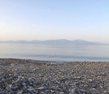 Xylokastro-Evrostina Apartment | Olea Apartments