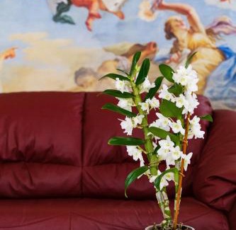 Giurdignano Bed & Breakfast | Olimpo B&B