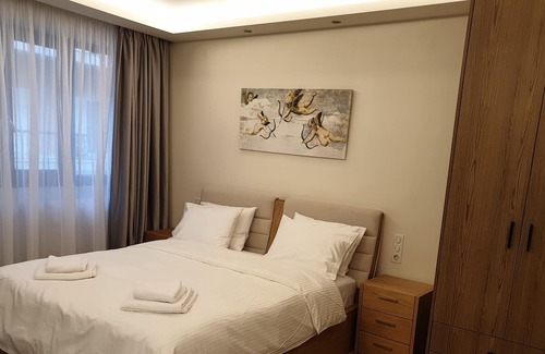 Karditsa Apartment | Olive Deluxe apartment - Luxury central studio apartment with private parking