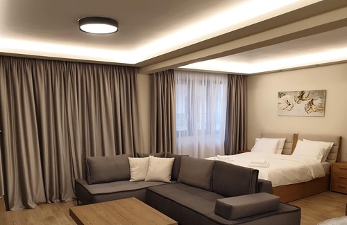 Karditsa Apartment | Olive Deluxe apartment - Luxury central studio apartment with private parking