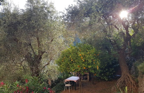 Le Bar-sur-Loup Apartment | Olive Grove Apartment with *Large Heated Pool*