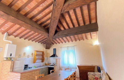 Casciana Terme Lari Other | Olives- The Little House