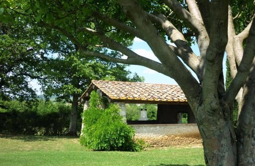 Colle di Val d'Elsa Apartment | "OLIVO" apartment at "LA CASINA" in the open countryside - Colle di Val d 'Elsa - Between Siena and Florence