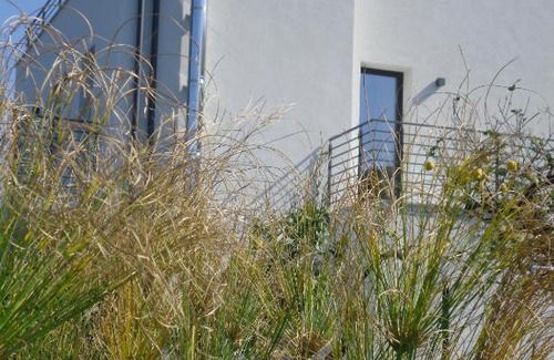 San Nicola l'Arena Bed & Breakfast | Oltremare Rent Rooms