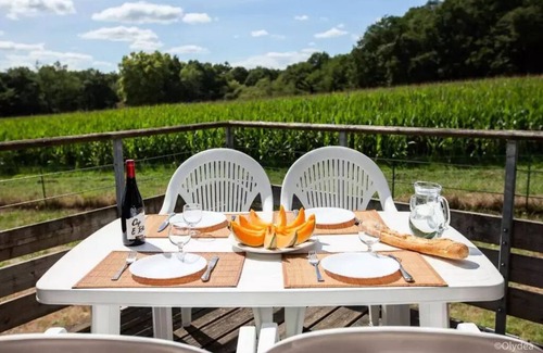 Cassen Apartment | Olydéa - Residence Les Hameaux de la Chalosse* - 4 rooms 8 people