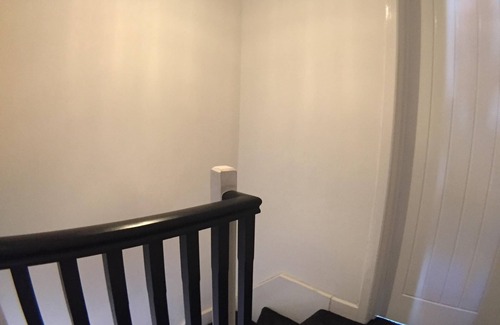 Belfast City Centre House | Olympia Belfast City Ash