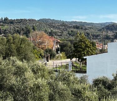 Archaia Olympia House | Olympia House Dionisos and Dimitra I