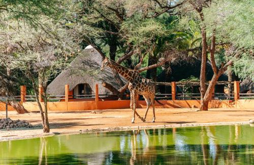 Omaruru Hotel | Omaruru Game Lodge