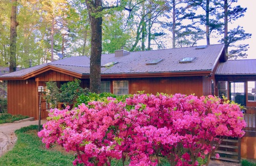 Scottsboro House | On Main Channel: Bass Fishing & Family Fun: TRAEGER PELLET GRILL, kayaks, canoe