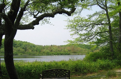 Water Mill Cottage | On Park Like Setting with Pond/Lake