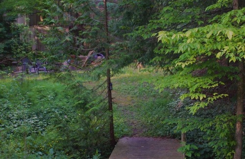 Saugeen Shores Cottage | On the bay, where you are always welcome to stay!